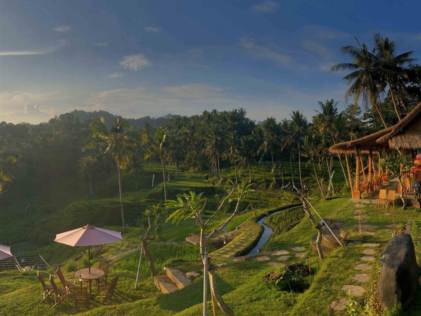 dokter liveoakdentalgroup, keunikan liveoakdentalgroup, program liveoakdentalgroup, kesehatan liveoakdentalgroup, jadwal liveoakdentalgroup